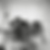Playboy thumbnail