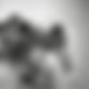 Playboy thumbnail