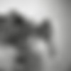 Playboy thumbnail